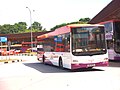 MAN 18.240 HOCL-NL, SBS Transit