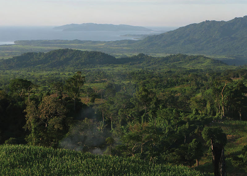 File:View of the northeast coast of Luzon from the foothills of Mt. Cagua - ZooKeys-266-001-g005.jpg