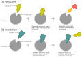 Competitive inhibition