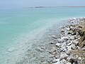 Dead Sea, Israel, near En Boqeq