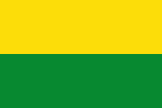 Flag of Vichada Department.