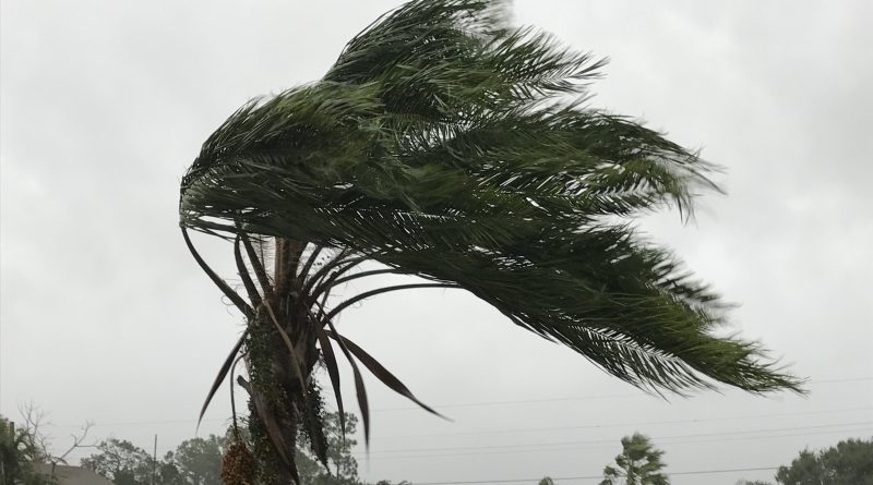 El huracán Milton se fortalece a medida que avanza hacia la región de la Bahía de Tampa en Florida