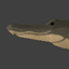 Crocodilecutout.jpg