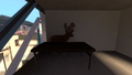 Cp Reckoner Deer1.png