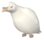 Bird.png