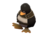 Tux