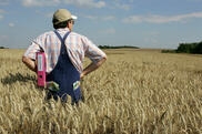 Landwirt mit Aktenordner unter dem Arm und Geldscheinen in den Hosentaschen steht auf einem Acker.