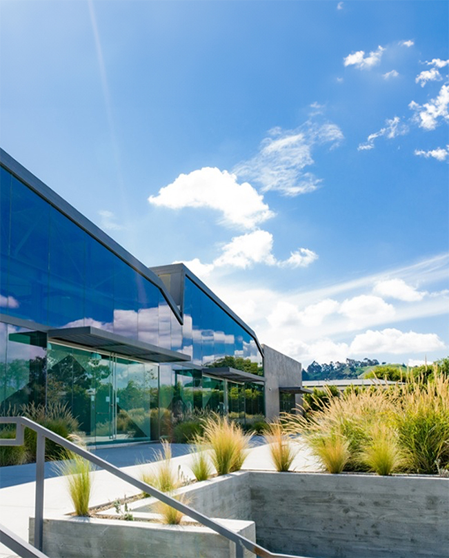 Un chemin piéton bordé de végétation au premier plan et des bureaux Apple avec des façades en verre en arrière-plan.