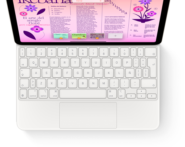 Imagen desde arriba de un Magic Keyboard conectado a un iPad Pro.