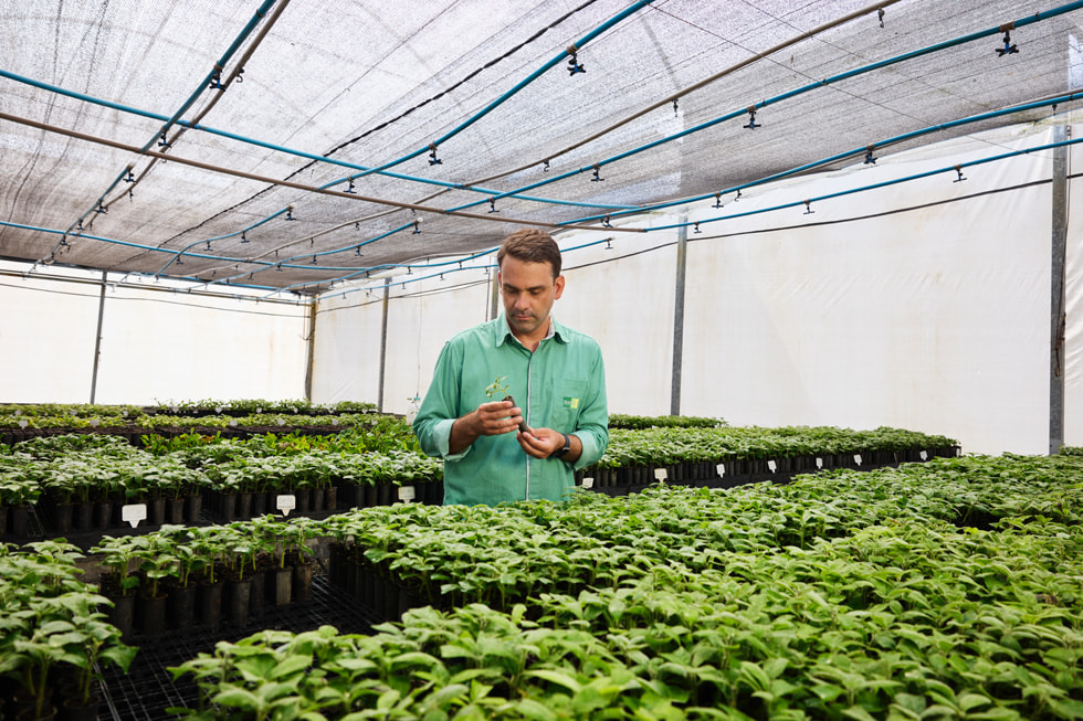 Alan Batista holds a seedling while standing in a greenhouse.