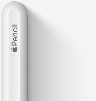 Das obere gerundete Ende des Apple Pencil 2. Generation mit dem Apple Logo und dem Wort Pencil.