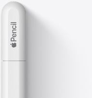 De ronde bovenkant van Apple Pencil USB-C met het Apple logo en het woord Pencil. Er is een streepje op te zien dat aangeeft waar de dop eraf kan worden gehaald om een USB-C-kabel aan te sluiten.