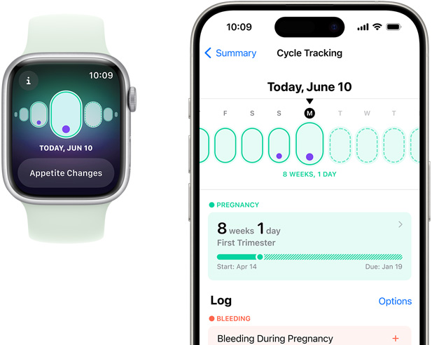 Een Apple Watch-scherm met zwangerschapsgegevens en het symptoom veranderingen in eetlust. Een iPhone-scherm met de duur en andere gegevens over de zwangerschap in de ‘Cyclus bijhouden’-app.