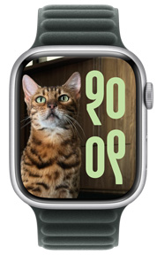 Fotowijzerplaat van een kat met de tijd in een aangepaste tekengrootte en taal, op een Apple Watch
