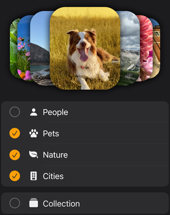 Plusieurs cadrans photos d’Apple Watch empilés au-dessus d’un menu de filtres