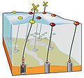 Fig 1a: Artist's rendition of a point absorber array