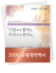 2006 규제개혁백서