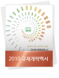2010 규제개혁백서