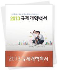 2013 규제개혁백서
