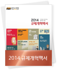 2014 규제개혁백서