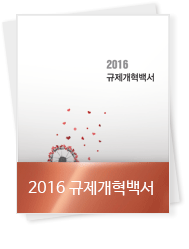 2016 규제개혁백서