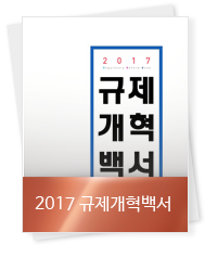 2017 규제개혁백서