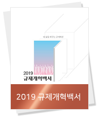 2019 규제개혁백서