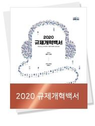 2020 규제개혁백서