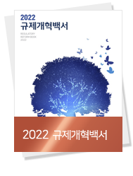 2022 규제개혁백서