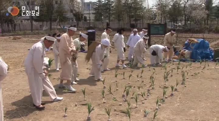 [한국문화100]희노애락이 담겨져있는 공동체문화 '두레'