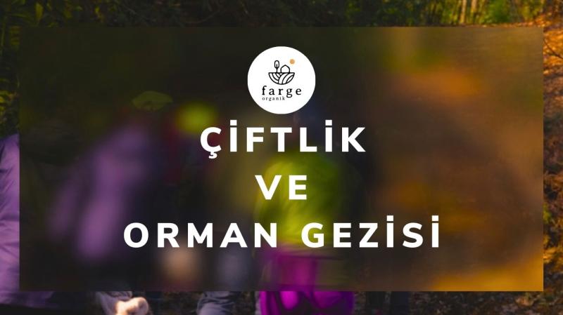 Çiftlik Ve Orman Gezisi