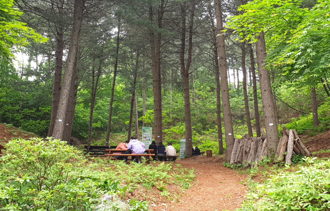 Barrier-free Sharing Trail, Gimhae, South Gyeongsang Province