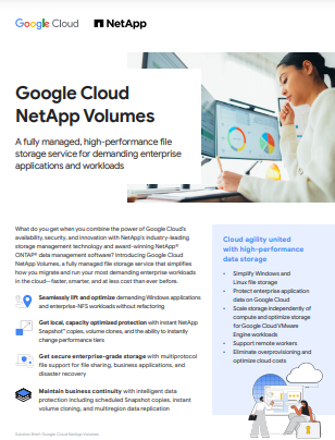 Primera página del informe de Google Cloud NetApp Volumes 