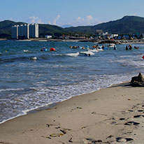 거진11리해변