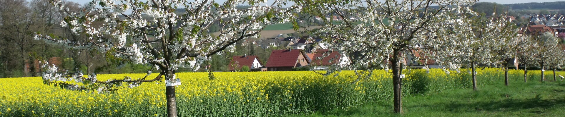 Kirschlehrpfad mit Blick auf Hagen