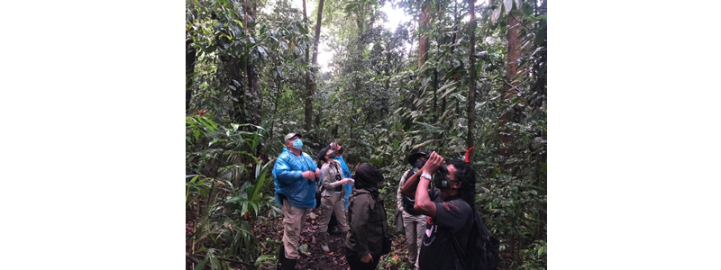 Entry limits to national parks reduced to 50%, with the exception of Volcán Poás national park