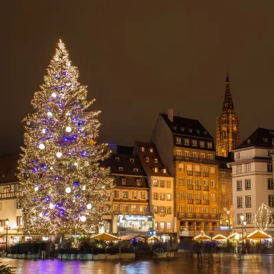 Grand Sapin de Noël à Strasbourg