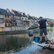 Lâchers de truites - Plan d'eau d'Istournet