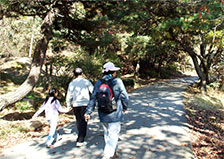 망우리공원 산책로 전경 3