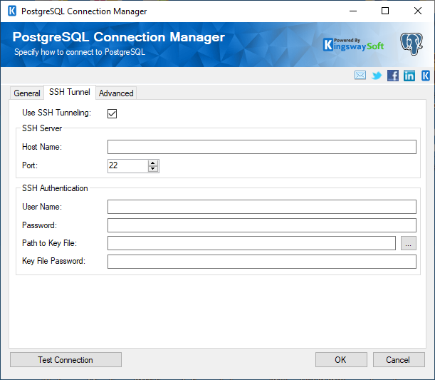 PostgreSQL Connection Manager - SSH Tunnel