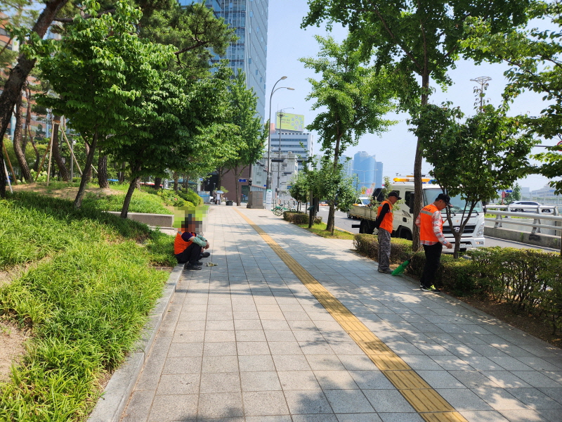 노인 일자리 사업으로 길거리에서 휴지를 줍고 치우는 등 환경미화 활동을 하는 어르신들이 많다.