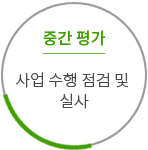 중간 평가  사업 수행 점검 및 실사