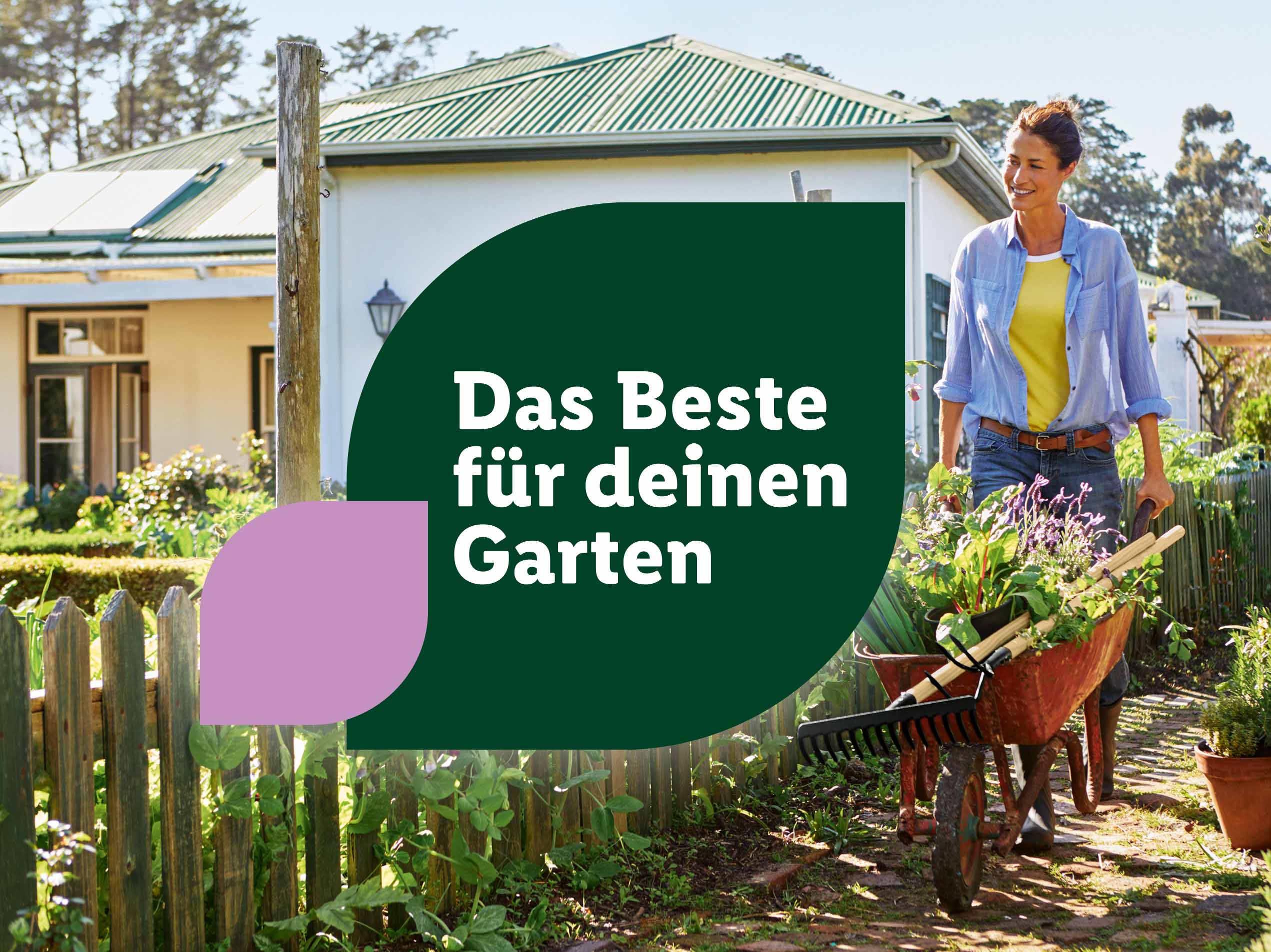 Das Beste für deinen Garten