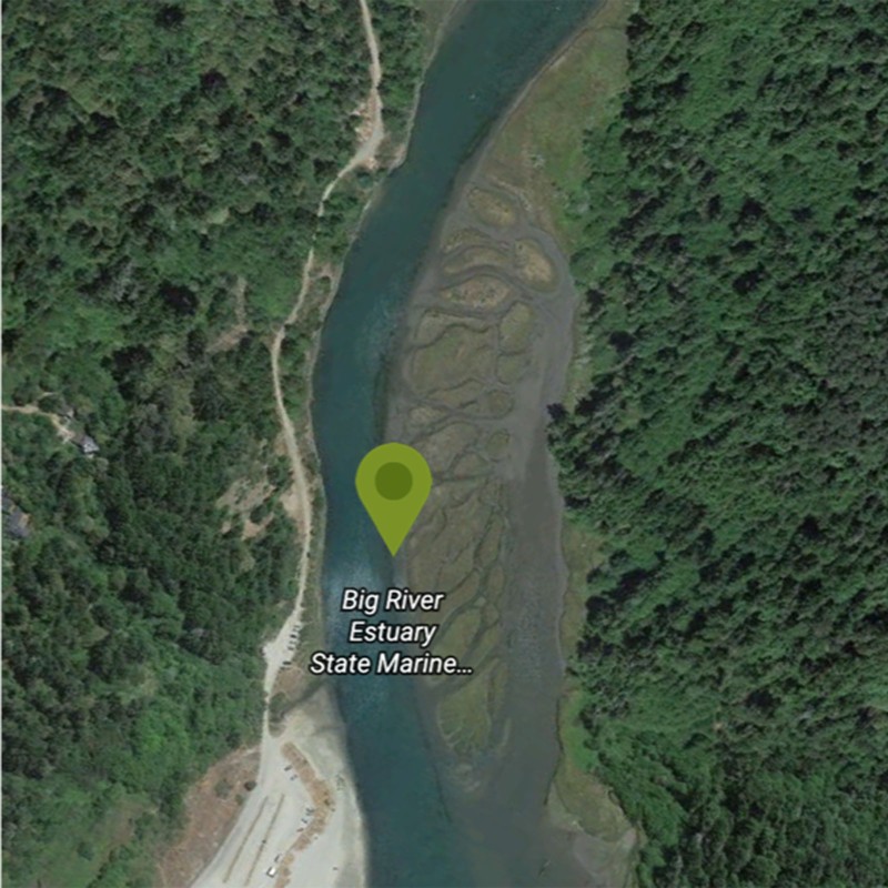 Satellite view of Big River in California.