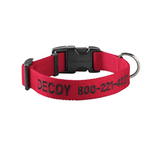 Personalized Pet Collar