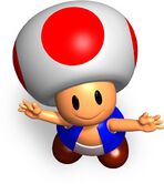 SM64-Toad.jpg