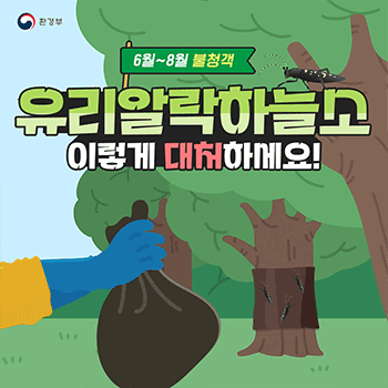 환경부 6월~8월 불청객 유리알락하늘소 이렇게 대처하세요!