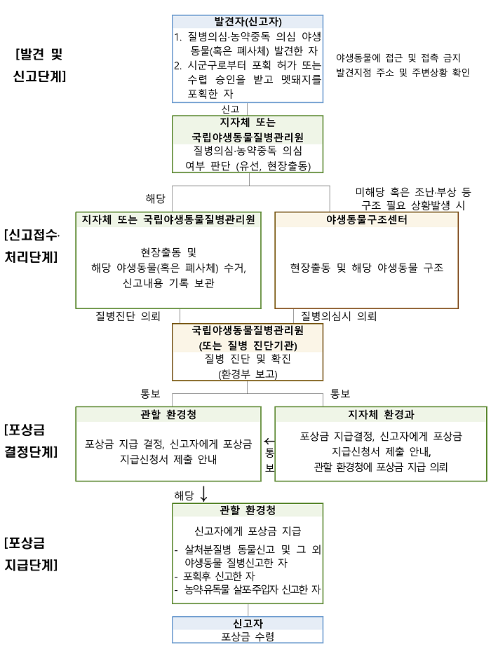 발견 및 신고단계 
1.발견자(신고자):질병의심·농약중독 의심 야생동물(혹은 폐사체) 발견한 자, 시군구로부터 포획 허가 또는 수렵 승인을 받고 멧돼지를 포획한 자( 야생동물에 접근 및 접촉 금지
 발견지점 주소 및 주변상황 확인)
2.지자체 또는 국립야생동물질병관리원 : 질병의심·농약중독 의심 여부 판단 (유선, 현장출동)

신고접수·처리단계
(해당)관할 환경청 또는 지자체:현장출동 및 해당 야생동물(혹은 폐사체) 수거, 신고내용 기록 보관
(미해당 혹은 조난·부상 등 구조 필요 상황발생 시)야생동물구조센터 : 현장출동 및 해당 야생동물 구조

국립야생동물질병관리원(또는 질병 진단기관):질병 진단 및 확진(환경부 보고)

포상금 결정단계
지자체 환경과 : 포상금 지급결정, 신고자에게 포상금 지급신청서 제출 안내, 관할 환경청에 포상금 지급 의뢰
관할 환경청 : 포상금 지급 결정, 신고자에게 포상금 지급신청서 제출 안내

포상금 지급단계
관할 환경청 : 신고자에게 포상금 지급
- 살처분질병 동물신고 및 그 외 야생동물 질병신고한 자 
- 포획후 신고한 자
- 농약·유독물 살포·주입자 신고한 자

신고자 : 포상금 수령