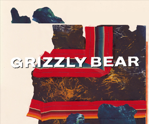 Grizzly Bear