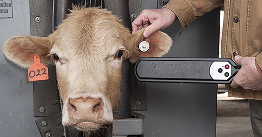 USDA APHIS Bolsters Animal Disease Traceability in the United States